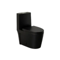 TB 382Y-MB - Toilets