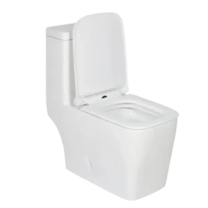 TB 2117Y - Toilets